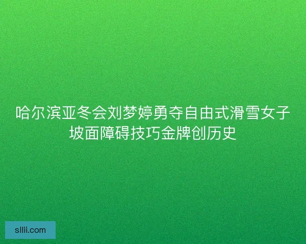 哈尔滨亚冬会刘梦婷勇夺自由式滑雪女子坡面障碍技巧金牌创历史